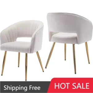 Modern Accent Chairs Set of 2