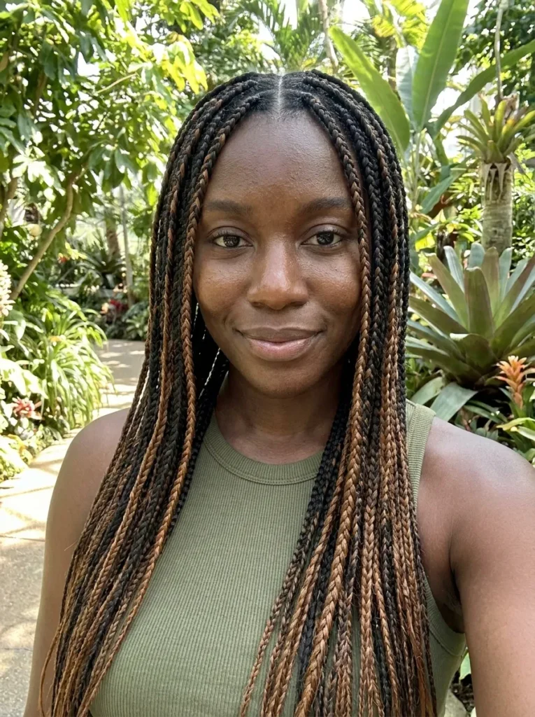 Caramel Brown Highlights
