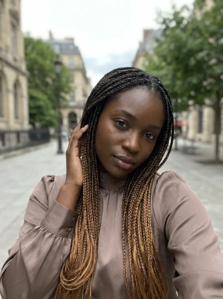 Ombre Brown Braids