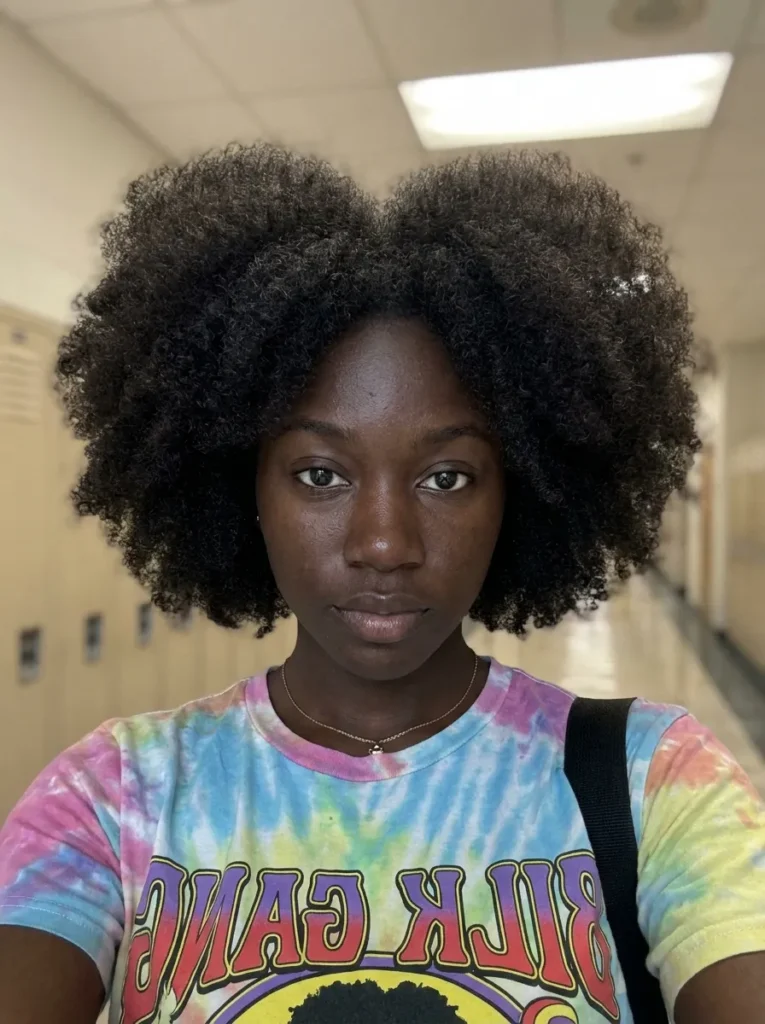 Natural Hairstyles for Black Girls for School