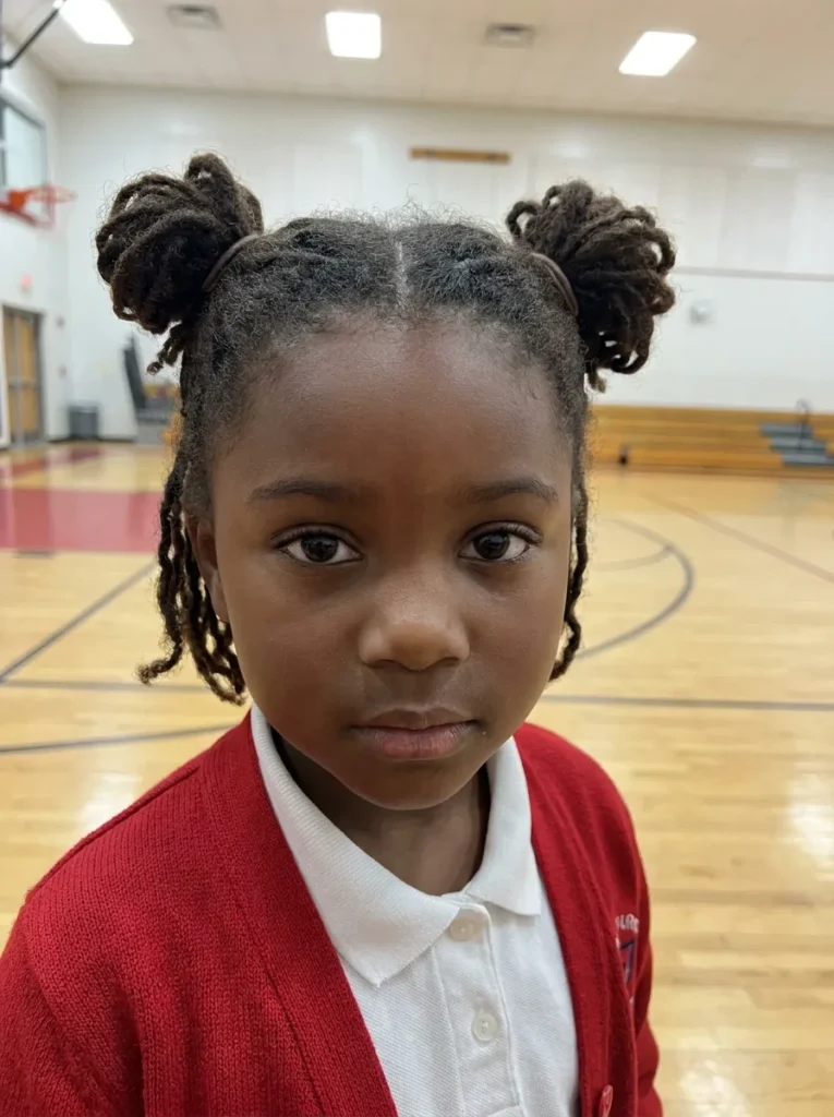 Braided Pigtail Buns