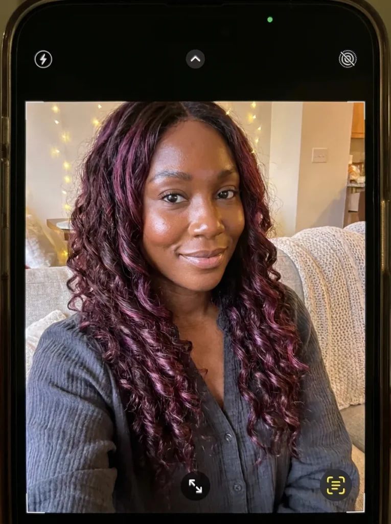 Dark Plum Highlights