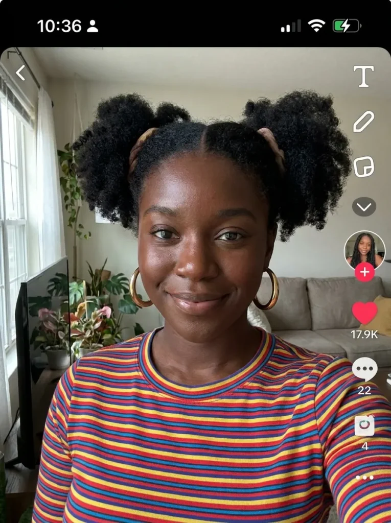 Double Puff Pigtails
