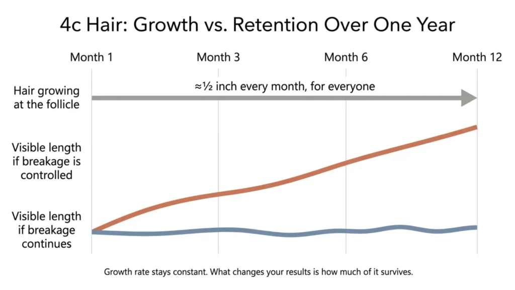 Informational graphic comparing 4c hair growth rate to length retention over a year