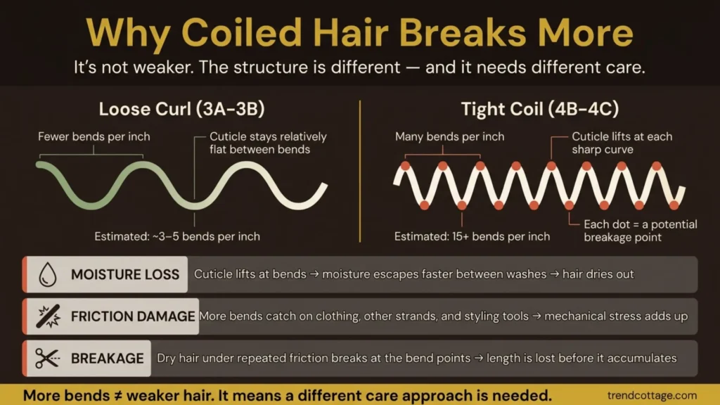 Infographic comparing a loose 3A curl strand to a tight 4C coil strand, showing why coiled hair has more breakage points per inch