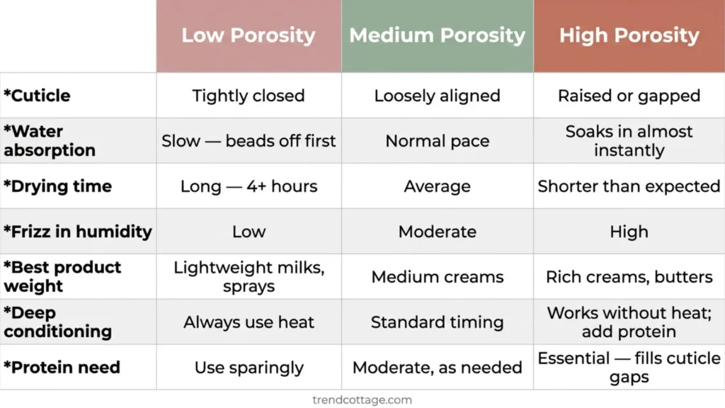 Comparison chart showing low, medium, and high hair porosity characteristics and routine recommendations