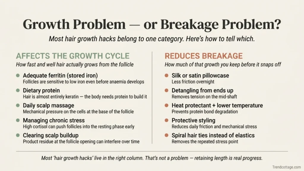 Infographic sorting hair growth hacks into two columns: what affects the growth cycle and what reduces breakage