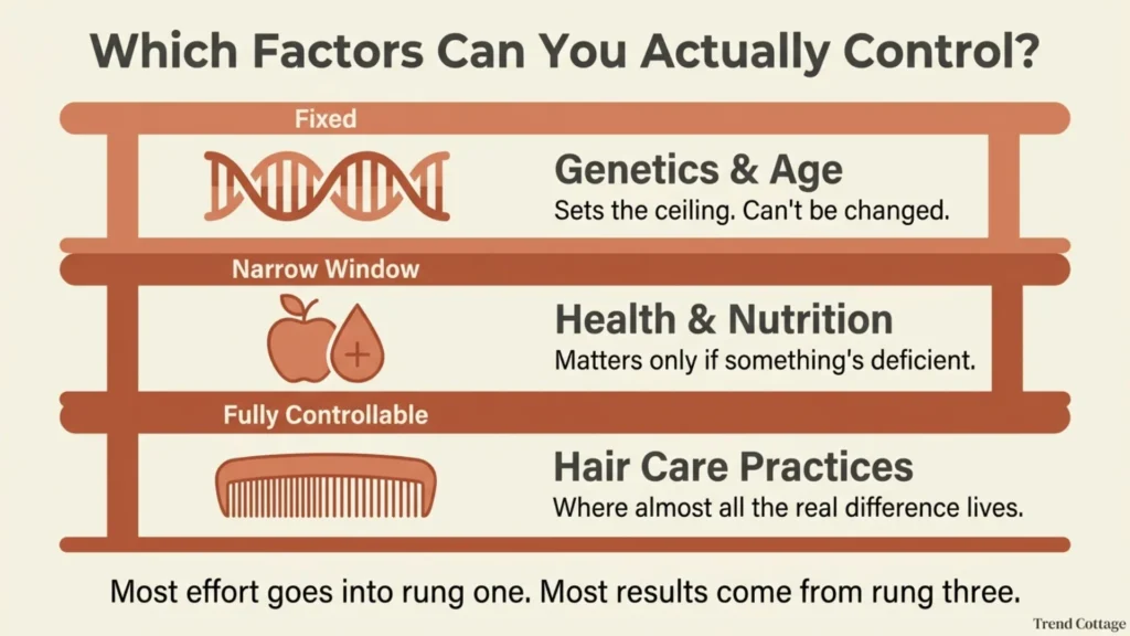 Diagram ranking three hair growth factors by how controllable each one is
